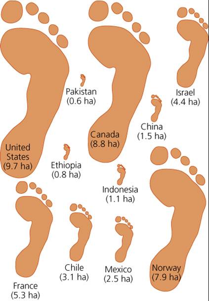 Ecological Footprint Breakdown by Nation