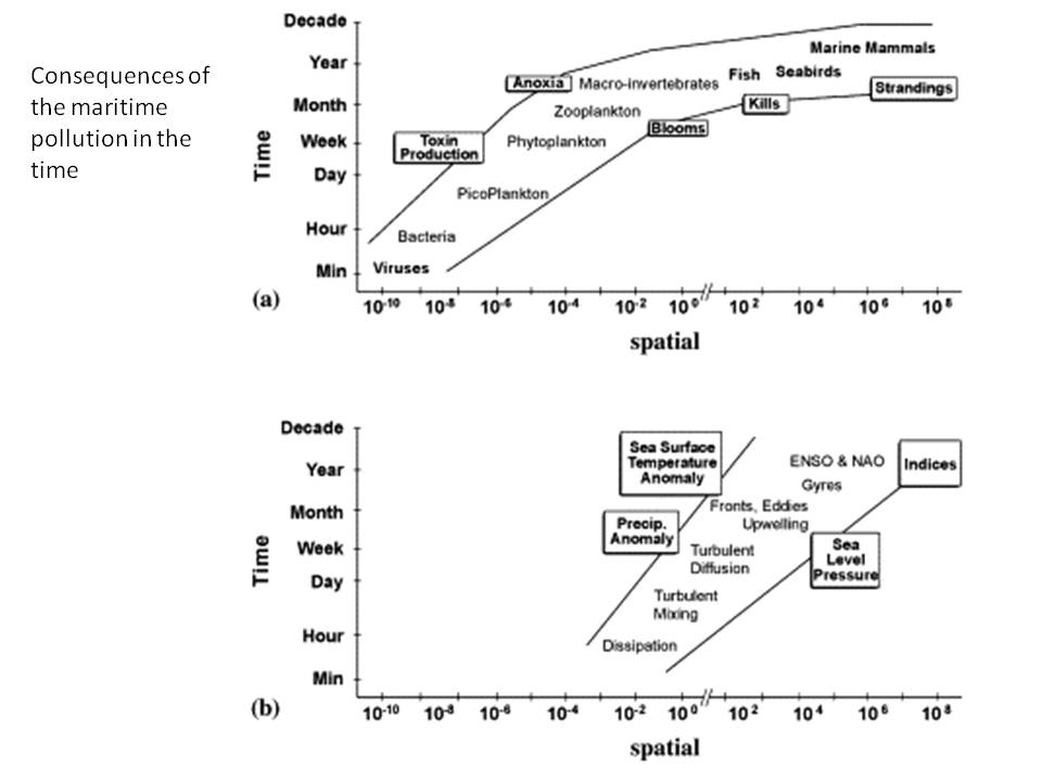consequences of the maritime pollution in the time consequences of the maritime pollution in the time