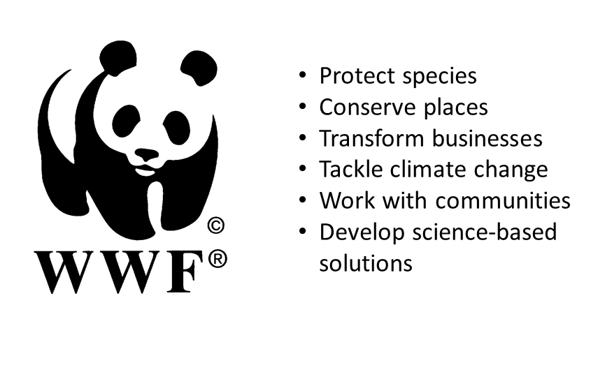 WWF WWF