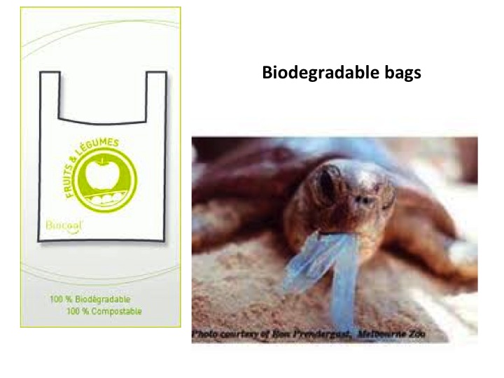 biodegradable bags