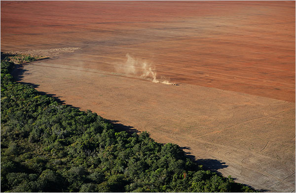 Deforestation and agriculture Deforestation and agriculture