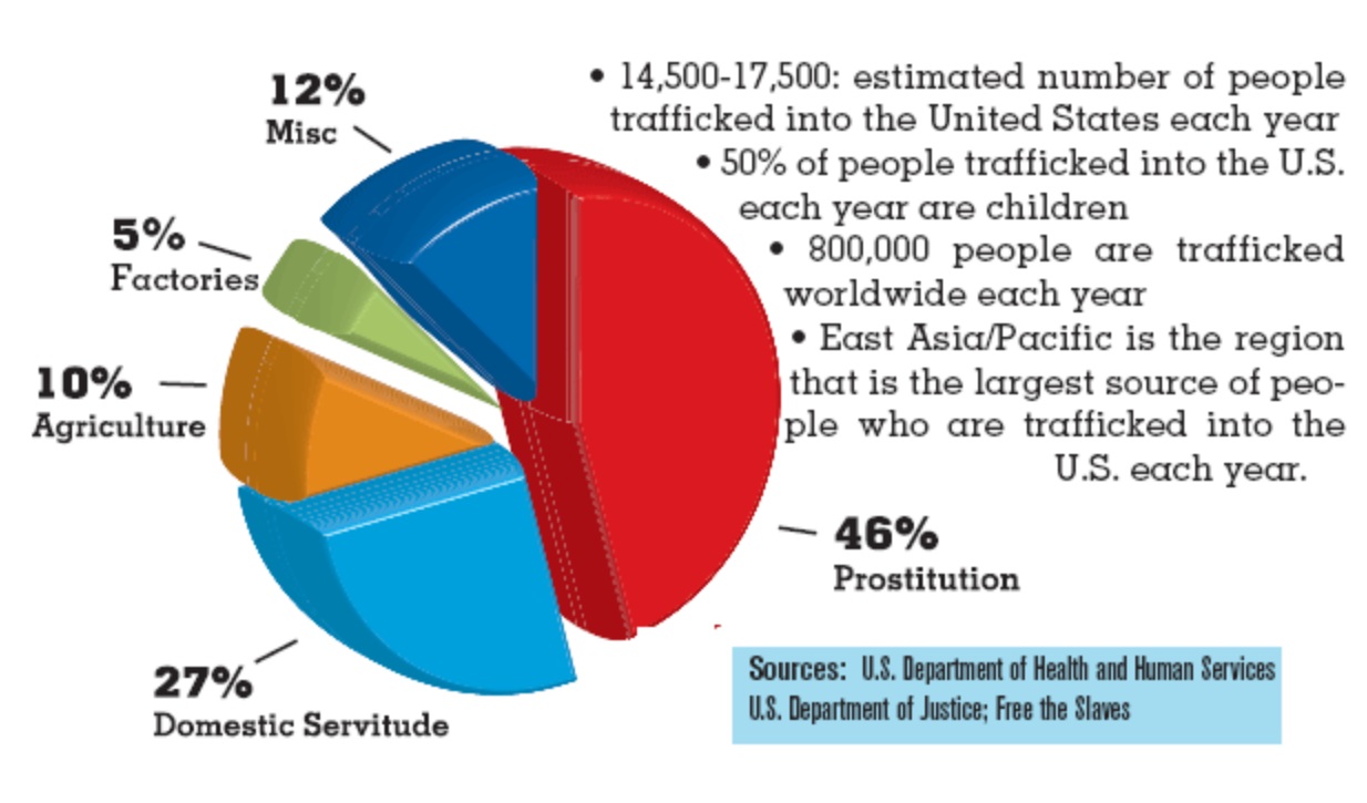 Human Trafficking Pie Chart Human Trafficking Pie Chart