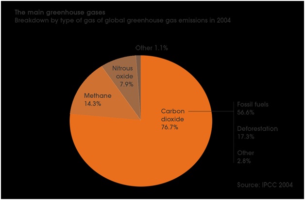 The main greenhouse gases The main greenhouse gases
