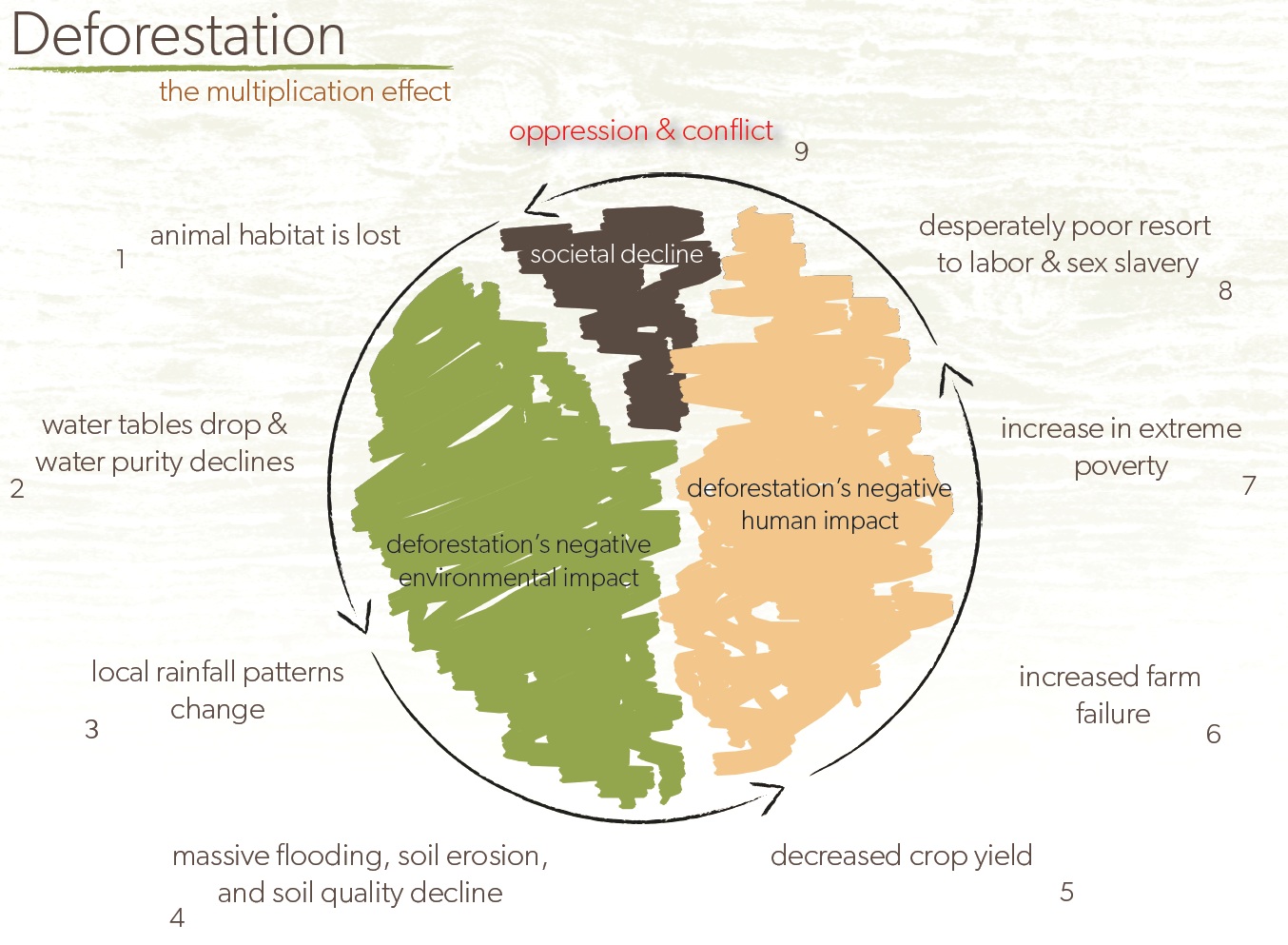 Deforestation - The multiplication effect Deforestation - The multiplication effect