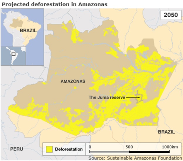 Projected deforastation in Amazonas Projected deforastation in Amazonas