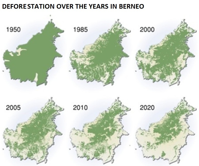 Deforestation over the years in Borneo Deforestation over the years in Borneo