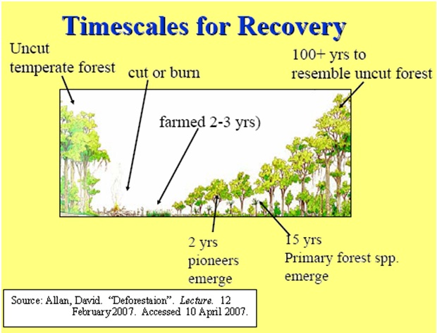 Timescales for recovery Timescales for recovery