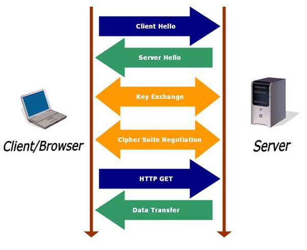 The Secure Sockets Layer  The Secure Sockets Layer