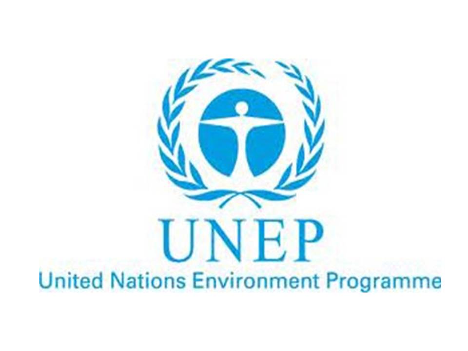 UN Environment Programme  UN Environment Programme