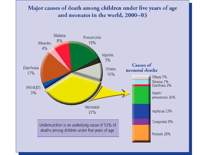 Major Causes of Death of Children and Infants (2000-2003)