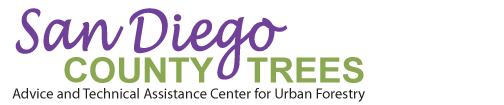 San Diego County Trees San Diego County Trees