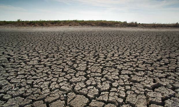 Kansas's Quivira National Wildlife Refuge in 2012, during the worst drought in the United States in more than 50 years. Photograph: Jim Reed/Corbis Kansas's Quivira National Wildlife Refuge in 2012, during the worst drought in the United States in more than 50 years. Photograph: Jim Reed/Corbis