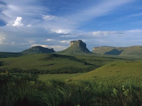 Disappearing Cerrado: 'Brazil's great untold environmental disaster' - audio slideshow -- Eric Hilaire Disappearing Cerrado: 'Brazil's great untold environmental disaster' - audio sli