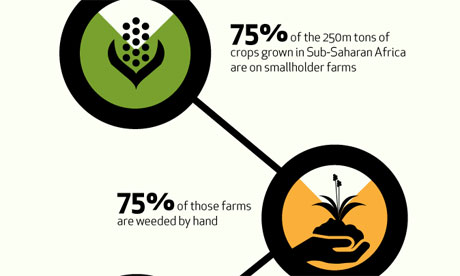 he female face of farming: infographic he female face of farming: infographic