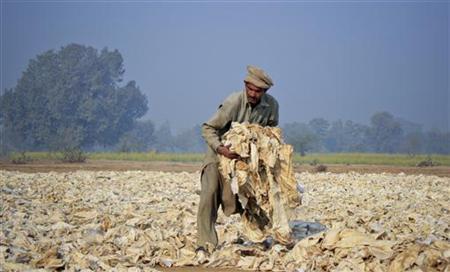 U.N. sustainable development summit shifts from climate change