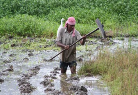 Water systems at risk from growing demand for food - expert Water systems at risk from growing demand for food - expert