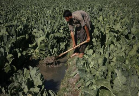 World over-using underground water reserves for agriculture World over-using underground water reserves for agriculture